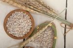 Organic Barley Grains Stock Photo