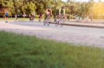 Cyclists At The Park Stock Photo