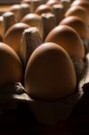 Eggs Poultry Concept Stock Photo