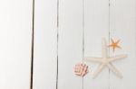 Starfish On White Wood Stock Photo