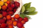 Strawberry Tree (arbutus Unedo) Fruit Stock Photo