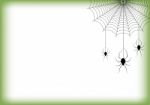 Halloween Spider Hanging Web Background Stock Photo