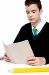 Schoolboy Reading Stock Photo