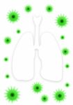 Coronavirus In Human Lungs Stock Photo