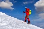 Young Woman Taking Photo With Smartphone On Mountains In Winter Stock Photo