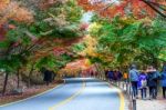 Naejangsan,korea - November 1: Tourists Taking Photos Of The Beautiful Scenery Around Naejangsan Park,south Korea During Autumn Season On November 1, 2015 Stock Photo