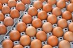 Eggs Stock Photo