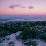 On Top Of Mount Wellington In Hobart, Tasmania During The Day Stock Photo