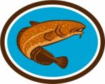 Burbot Fish Oval Retro Stock Photo