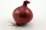 Red Onion Stock Photo