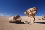 Tree Rock In Bolivia Stock Photo