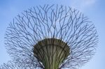 Singapore Garden By The Bay On Twilight Sky Stock Photo