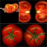 Tomatoes Collage Stock Photo