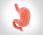 Human Stomach 3d Illustration In Digital Background Stock Photo