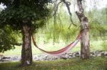Colorful Hammock Among The Trees Stock Photo