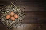 Chicken Eggs Stock Photo