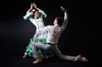 Young Flamenco Dancers In Beautiful Dress On Black Background Stock Photo