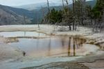 Mammoth Hot Springs Stock Photo