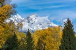 Autumnal Colours In The Grand Teton National Park Stock Photo