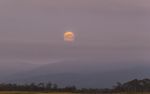 Moonrise ! Stock Photo