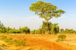 Landscape In Ethiopia Near Hamusit Stock Photo