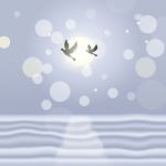 Doves Landscape Means Bokeh Lights And Birds Stock Photo