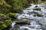 View Of The East Lyn River Stock Photo