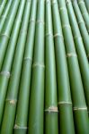 Bamboo Stock Photo