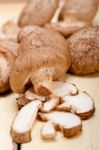 Shiitake Mushrooms Stock Photo