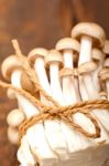 Fresh Wild Mushrooms Stock Photo