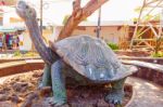 Giant Tortoise Statue In Puerto Ayora On Santa Cruz Island  In G Stock Photo