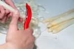 Peeling Asparagus Stock Photo