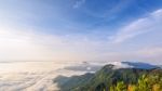 Morning In Phu Chi Fa Forest Park Stock Photo