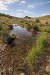 Beautiful Spring View Of A Countryside Stream Of Water Located In Portugal Stock Photo