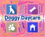 Doggy Daycare Shows Pet Pups And Canines Stock Photo