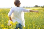 Beautiful Young Woman Enjoying Summer In A Field Stock Photo