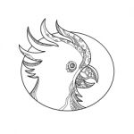 Cockatoo Head Circle Doodle Art Stock Photo