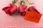 Red Rose With Message Card Image Of Valentines Day Stock Photo