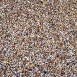 Sea Shells On Sand Stock Photo