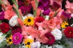 Display Of Colourful Cut Flowers Stock Photo