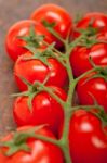 Fresh Cherry Tomatoes On A Cluster Stock Photo