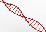 Dna Model Stock Photo