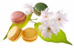 Tasty Colorful Macaroons Stock Photo