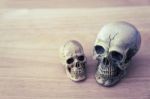 Still Life Of Human Skull Stock Photo