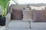 Grey Modern Sofa With Pillows And Black Vase Of Plants Stock Photo