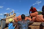 African Farmers Stock Photo