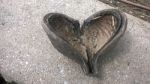 The Heart Shape From Nature Stock Photo