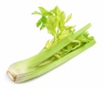 Celery Isolated On The White Background Stock Photo