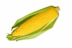 Corn Stock Photo