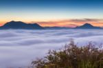 Beautiful Sun Rise At Pho Tog Mountain And The Mist In Thailand Stock Photo